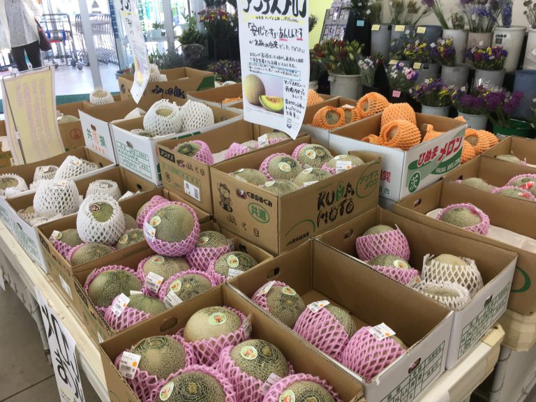 バラまつり メロンまつり 坂井市ゆりの里公園 農産物直売所 ゆりいち